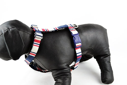 Επιστήθιο σκύλου Μπλε με Κόκκινο και Άσπρο