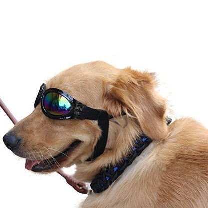 Γυαλιά Ηλίου σκύλου Hollywood Puppy