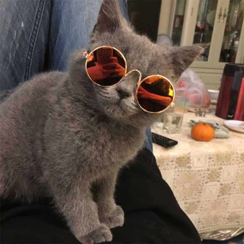 Γυαλιά Ηλίου σκύλου-γάτας Style (πολλά χρώματα)