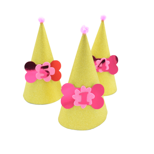 Kαπελάκι Γενεθλίων σκύλου γάτας GLOW Birthday Girl