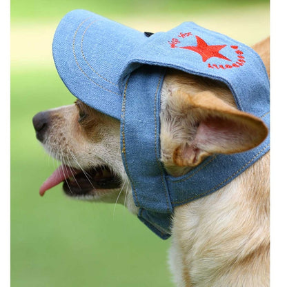 Καπέλο σκύλου Jean Doggy
