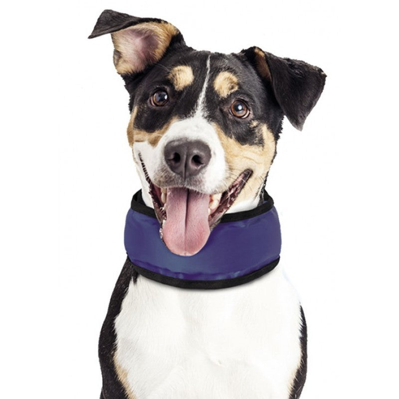 Κολλάρο δροσιάς σκύλου Nobby Cooling