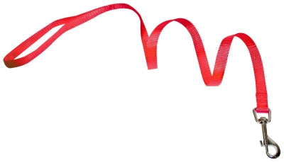 Οδηγός σκύλου-γάτας Κόκκινος Croci Plain (16mm)