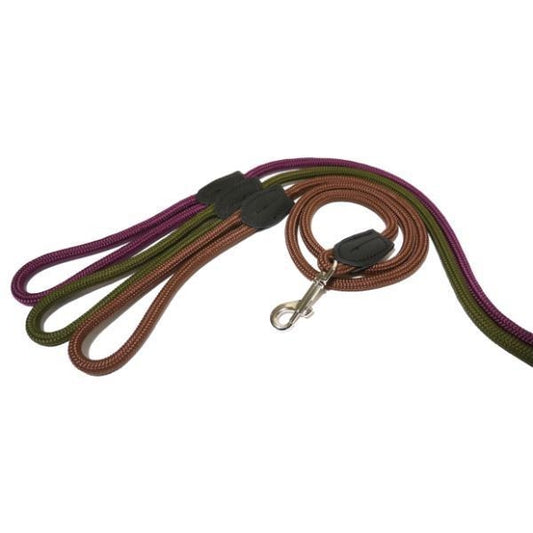Οδηγός σκύλου Πράσινος Rosewood Rope Twist