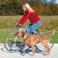 Λουρί σκύλου για Jogging με ποδήλατο Μαύρο Trixie