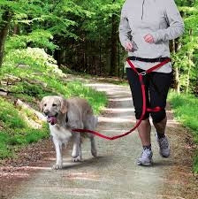 Λουρί σκύλου για Jogging Trixie Joggingleine Kόκκινο