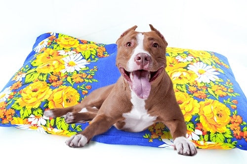 Μαξιλάρα σκύλου-γάτας Flower Bomb