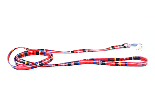 Οδηγός σκύλου Καρό