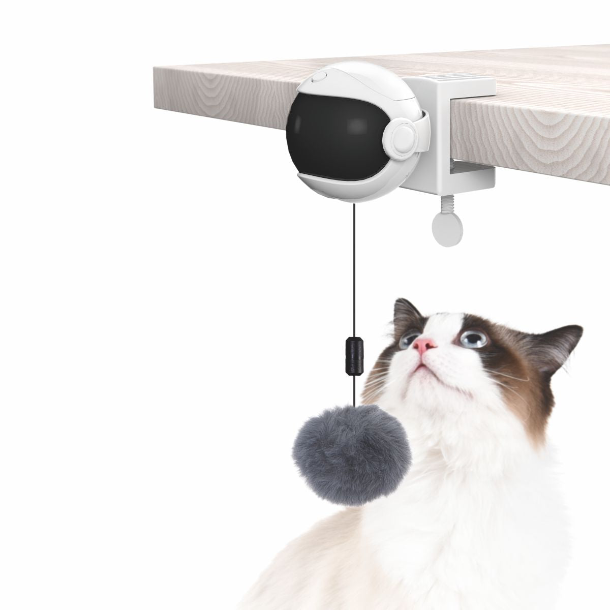 Παιχνίδι γάτας INTERACTIVE YO YO