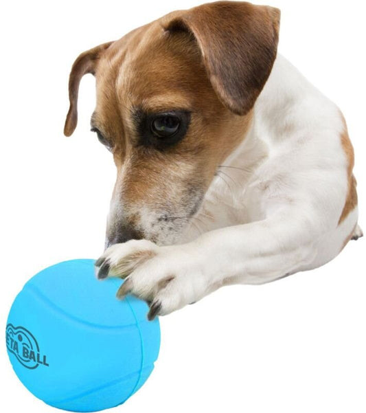 Παιχνίδι σκύλου Bounce & Rattle Ball