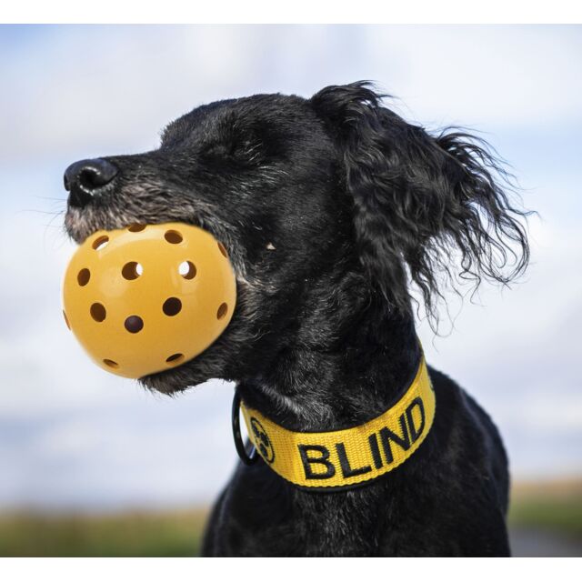 Μπάλα σκύλου TRIXIE Blind Dog