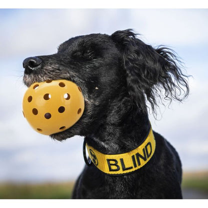Μπάλα σκύλου TRIXIE Blind Dog