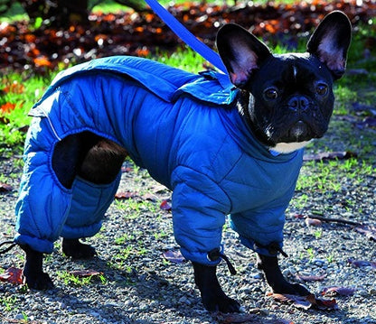Ρούχο σκύλου αδιάβροχο-αντιανεμικό Ολόσωμο Hiking Outdoors