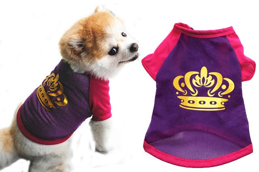 Ρούχο σκύλου Purple Crown