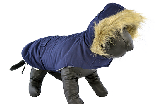 Ρούχο σκύλου αδιάβροχο BLUE ROYALTY