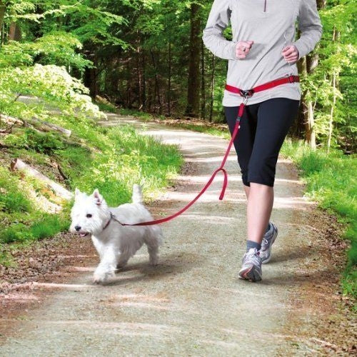 Λουρί σκύλου για Jogging Trixie Bauchgurt S-M