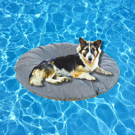 Στρώμα θαλάσσης-πισίνας σκύλου-γάτας Ferribiella