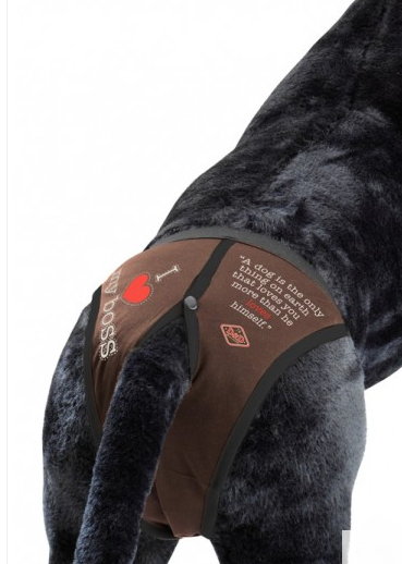 Βρακάκι σκύλου D&D DOG PANTS