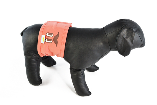 Ζώνη Mαρκαρίσματος για αρσενικούς σκύλους OLCHI BLUE